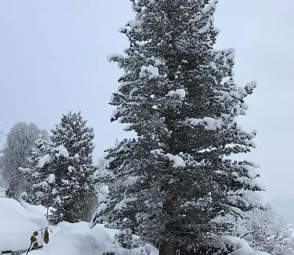 Apartment Dani I Grobming